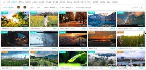 在哪里找爆料素材视频呢,揭秘爆料素材视频的搜集途径 第2张 在哪里找爆料素材视频呢,揭秘爆料素材视频的搜集途径 第2张